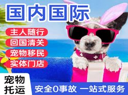 三源浦航空物流国际宠物托运 【国